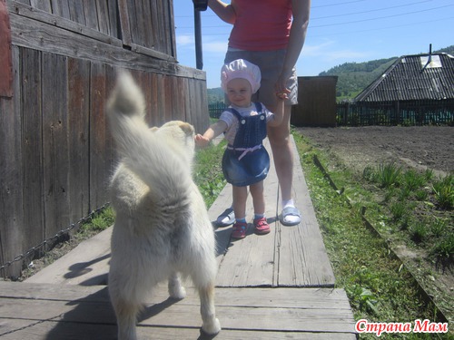 Отчетик Лизы )))