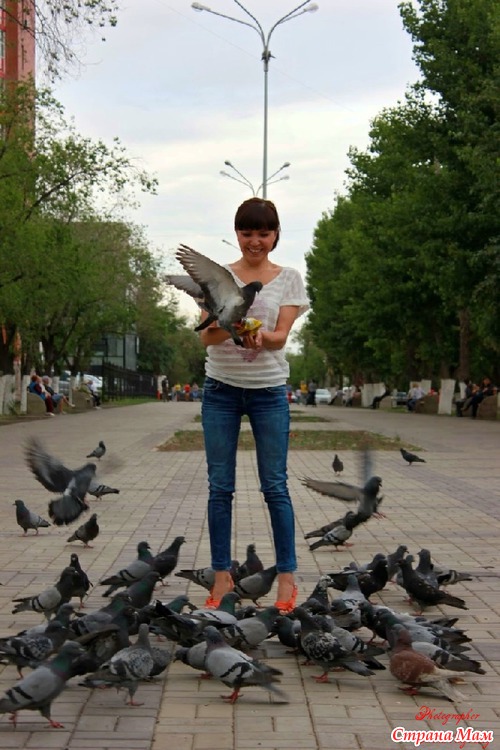 Цветок граната- 2