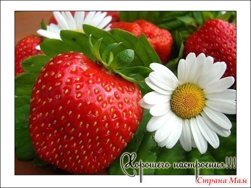 Шляпка "На лесной полянке"