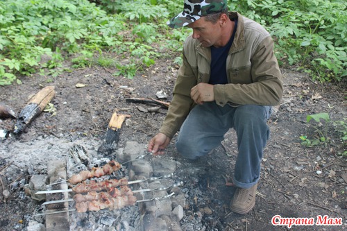 Устроили пикник на природе мы но есть одна проблема