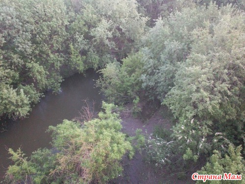 Как мы ходили на день России и 95-летие городу Кемерово