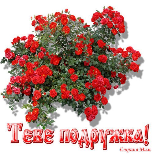 Завтра я дома одна.