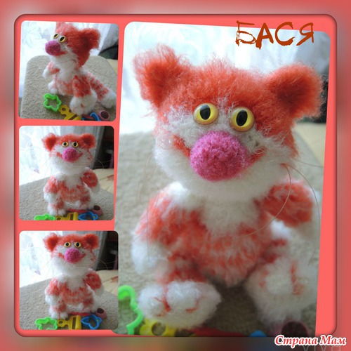 Котик Бася