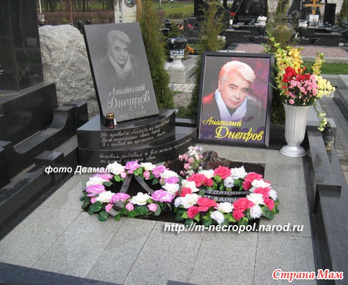 История жизни Анатолия Днепрова