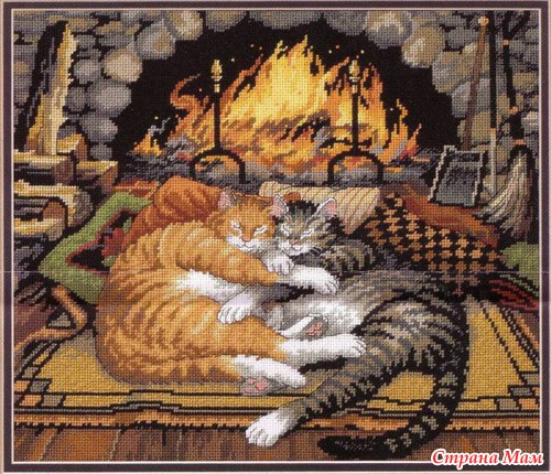Мои коты...