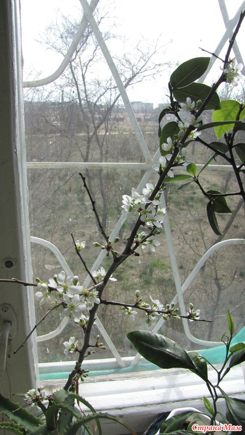 Весенний день