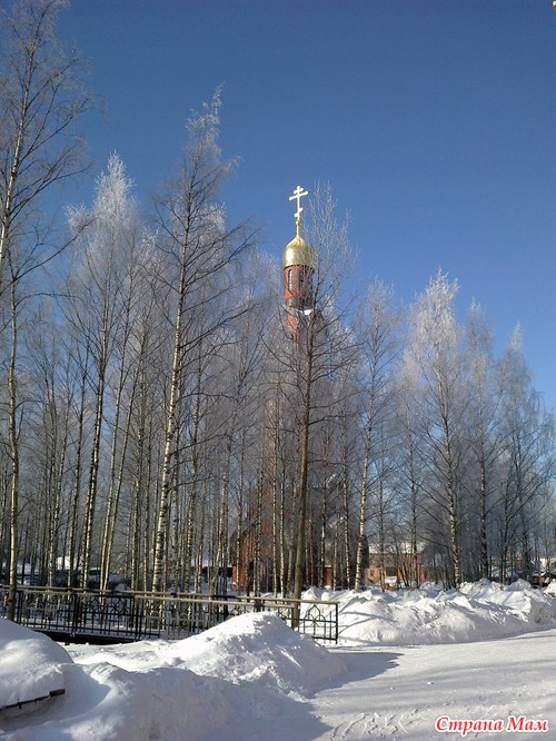 Сегодня. Пара фото с подворья.