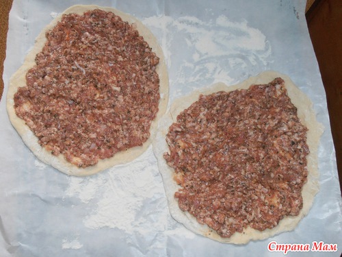 Лахмаджун ( отчет)