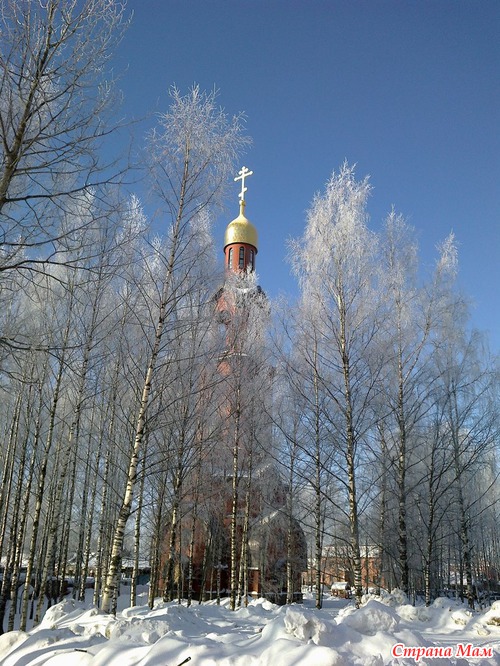Сегодня. Пара фото с подворья.