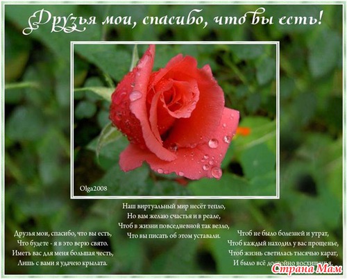 А у меня нашествие подарков!!! Ну очень много фото!!!