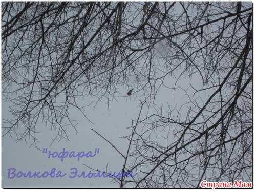 Девчата...