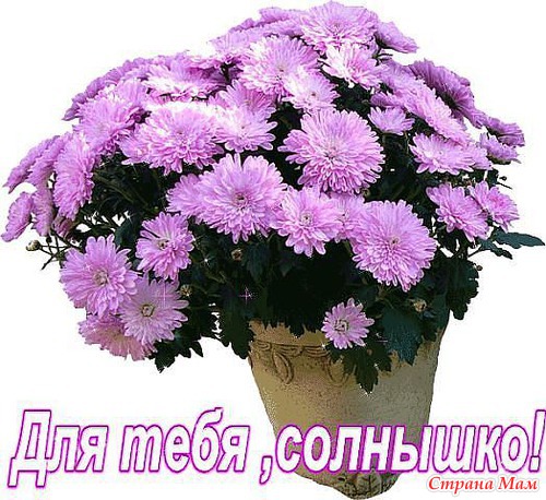 Приз за третье место у меня
