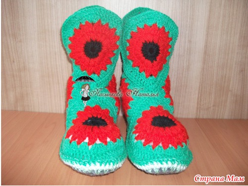 Домашние сапожки