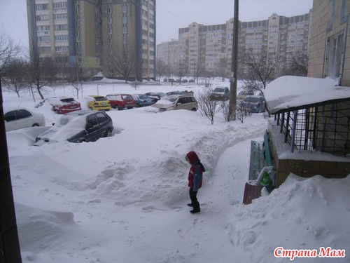Вышли мы из дома на весну поглядеть