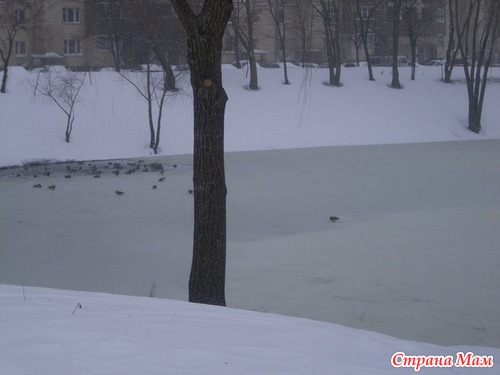 Вышли мы из дома на весну поглядеть