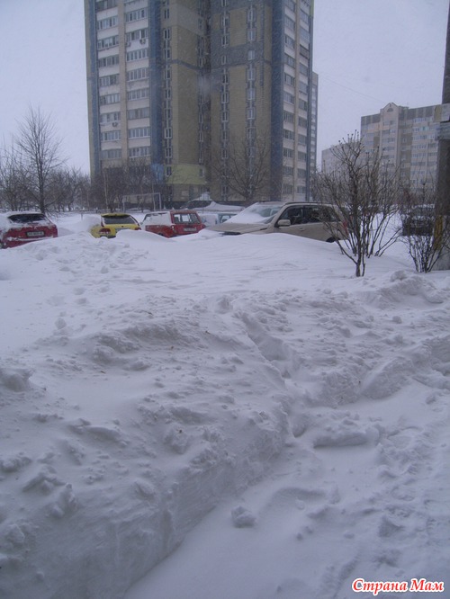 Вышли мы из дома на весну поглядеть