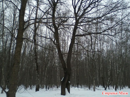 Снежные бураны в марте