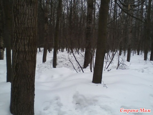 Снежные бураны в марте