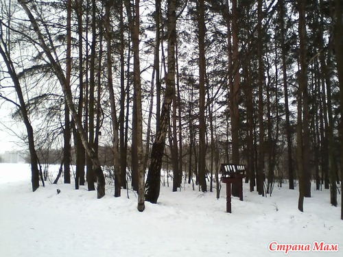 Снежные бураны в марте