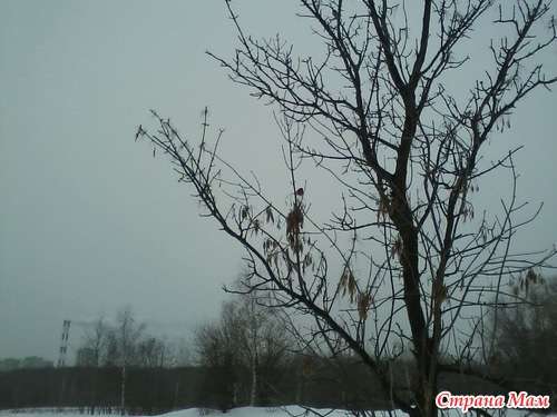 Снежные бураны в марте