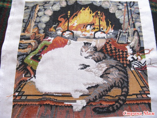 Мои коты...