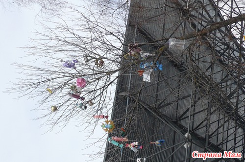 У нас снова Новый год.