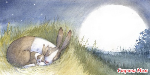 Художник-иллюстратор Petra Brown