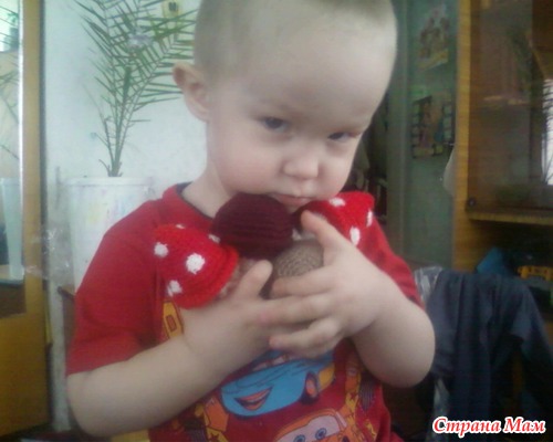 Грибной день