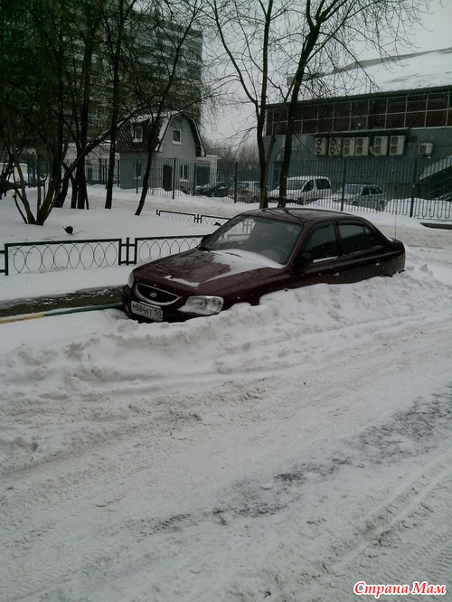 Оптический обман или шутки природы.