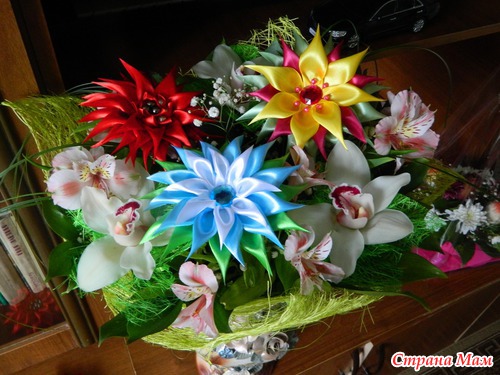 Мои георгинчики
