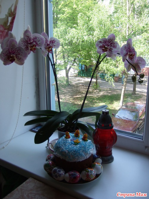 Мои куличи 2013.