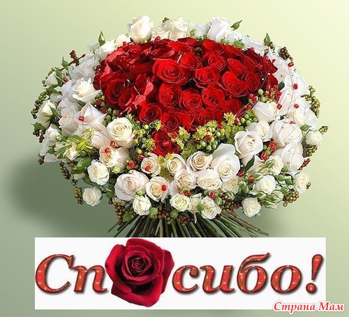 Мой хомяк доврлен жутко!!!