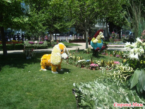 Праздник Цветов 2013 год