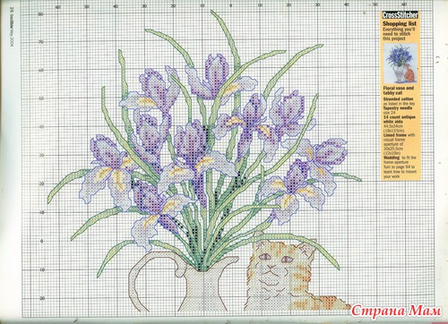 Делюсь схемой кота с ирисами в вазе