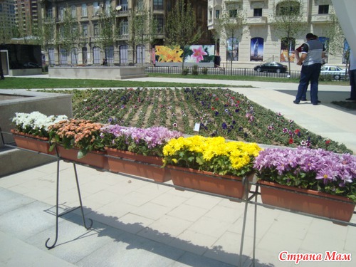 Праздник Цветов 2013 год