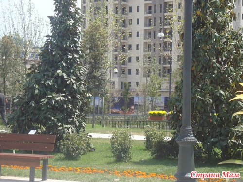 Праздник Цветов 2013 год
