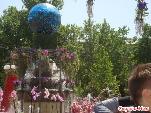 Праздник Цветов 2013 год