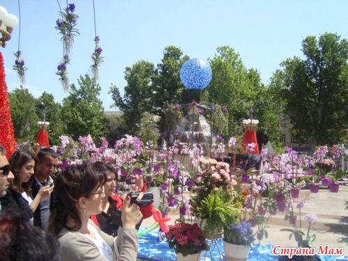 Праздник Цветов 2013 год