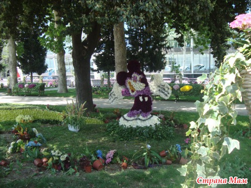 Праздник Цветов 2013 год