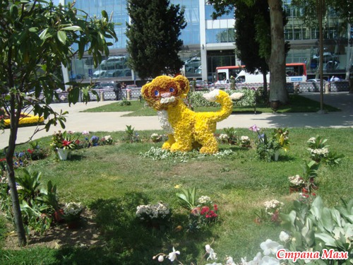 Праздник Цветов 2013 год