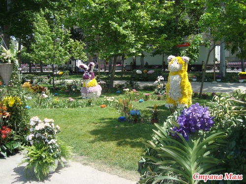 Праздник Цветов 2013 год
