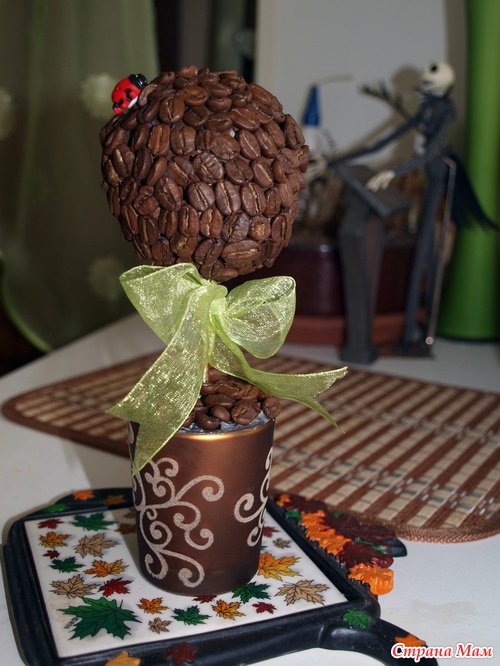 Кофейное деревце посажено!