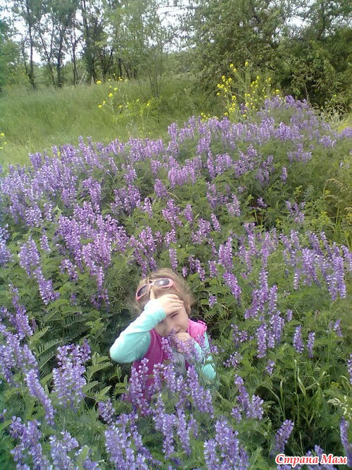 Немного из наших выходных (много фото)