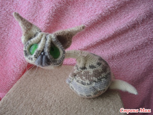 Котики.