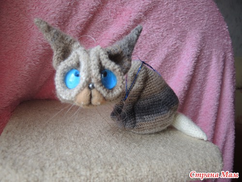 Котики.