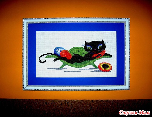 Мои Киски