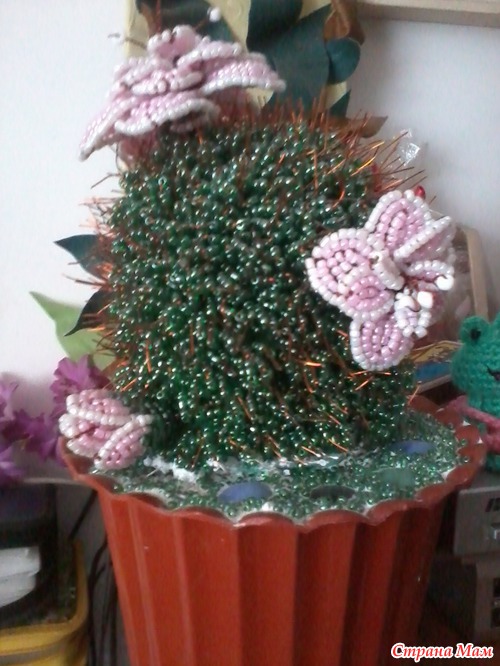 Кактус
