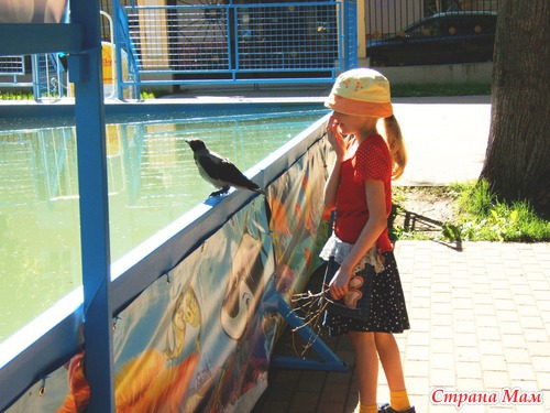 Прогулка в парке.
