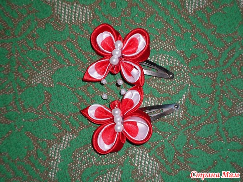 Любимые насекомые моей дочурки!