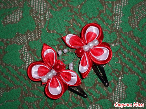 Любимые насекомые моей дочурки!